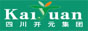 四川省開(kāi)元集團(tuán)有限公司